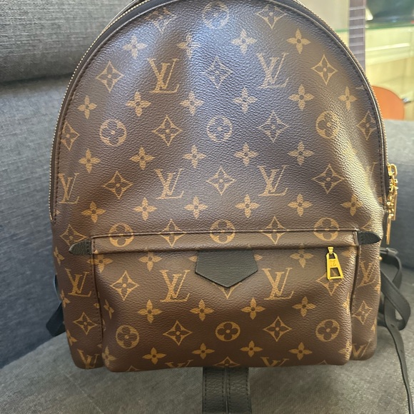Louis Vuitton Palm Springs MM Backpack - Picture 4 of 16